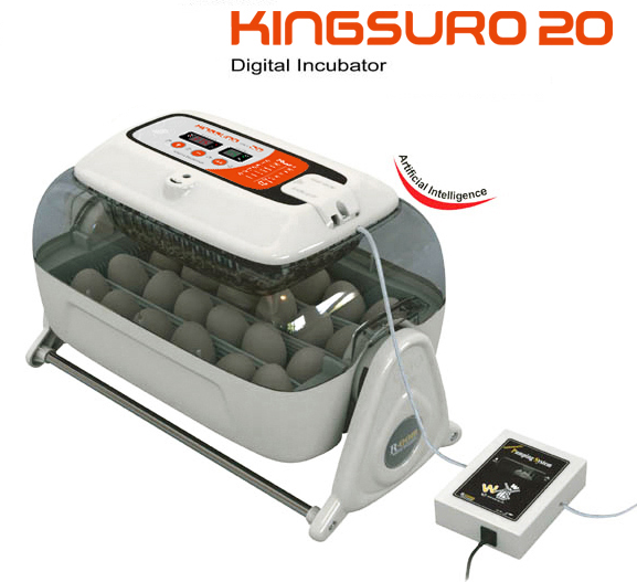 Rcom King Suro $495NZ - - Incubators NZ, for all your Poultry Supplies