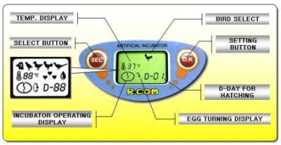 rcom mini incubator $ 265nz duck egg incubator newest transparent 